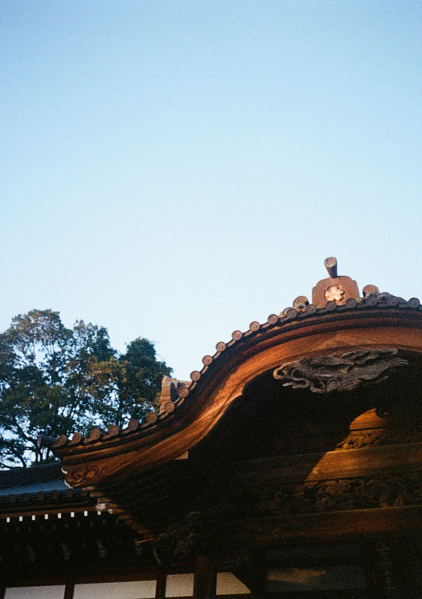 Tokyo, on Portra 400.