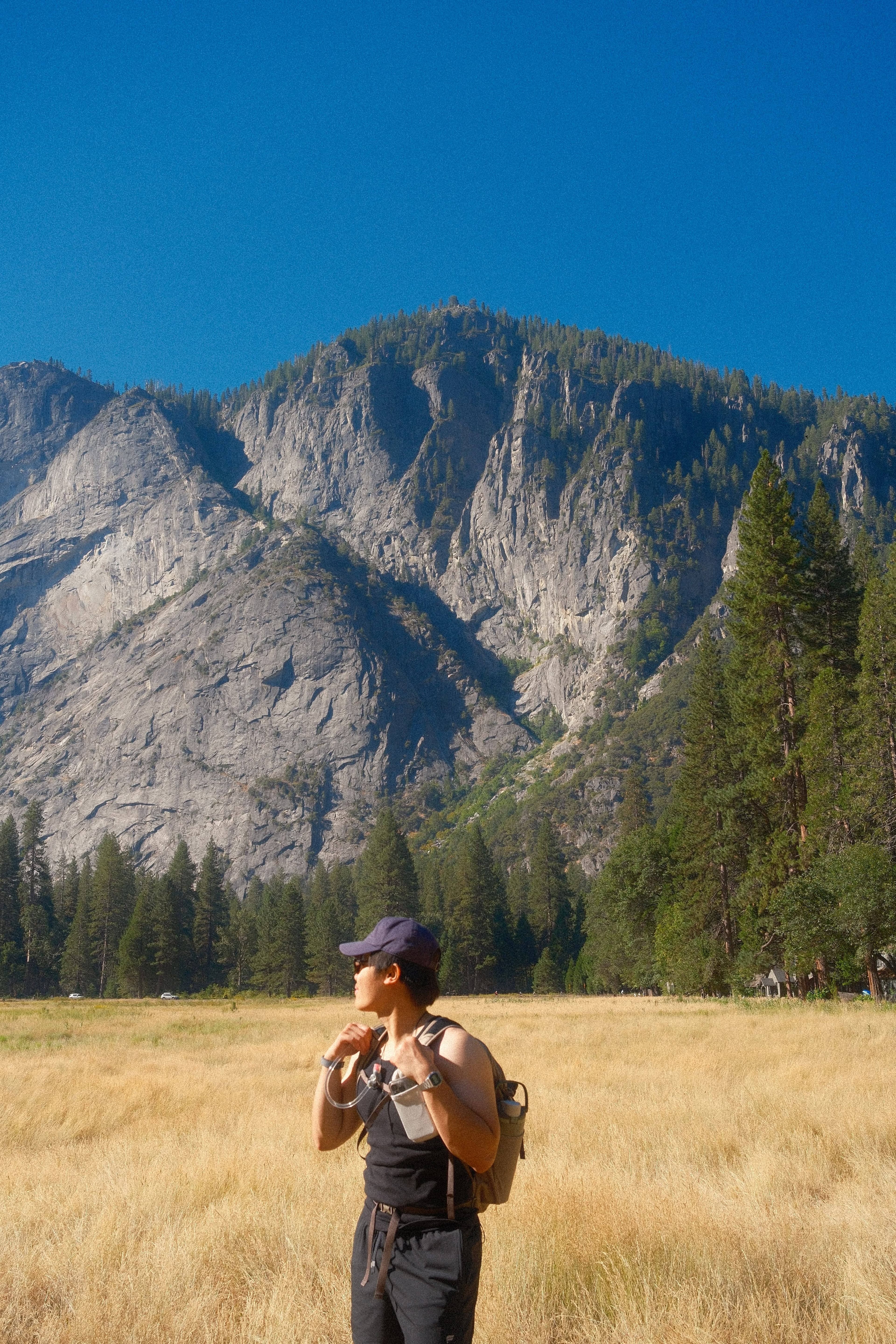 Yosemite, CA.